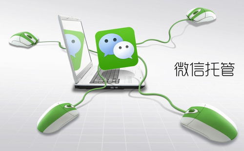 優(yōu)化電腦圖文設計制作業(yè)務流程 高效降低運營成本與提升運營效果