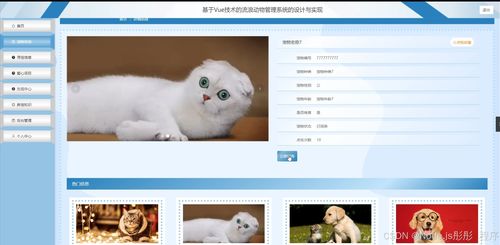 基于Vue與Flask的流浪動物管理系統(tǒng)的設計與實現(xiàn)