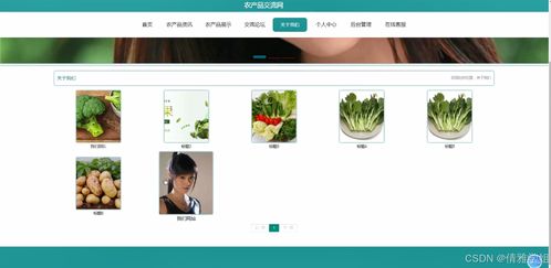 農(nóng)產(chǎn)品交流網(wǎng) 基于Java的計算機畢業(yè)設計全流程探索
